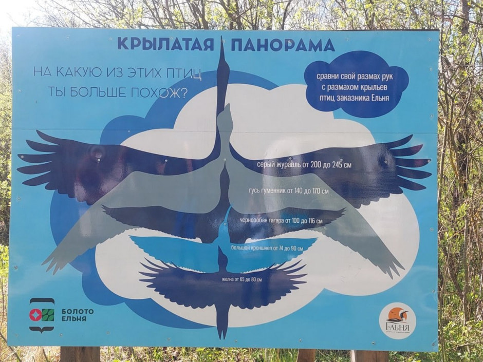 Поход на Ельню 14.jpg