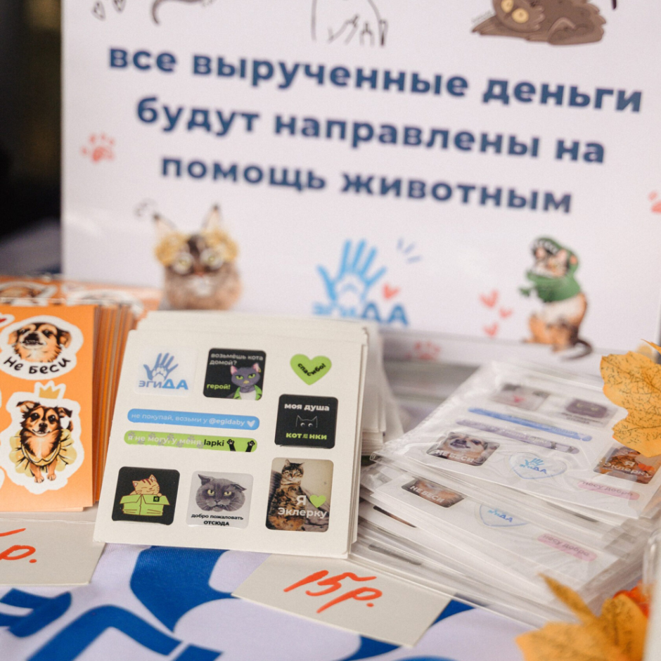 27 котов и 5 собак нашли хозяев — 