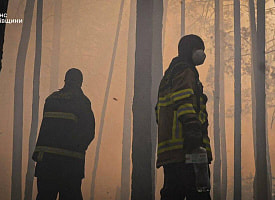 В зоне отчуждения Чернобыльской АЭС вспыхнул масштабный пожар – до Беларуси дошел?