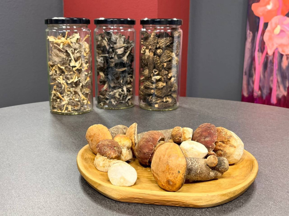 2-Грибы в студии Смартпресс.jpg