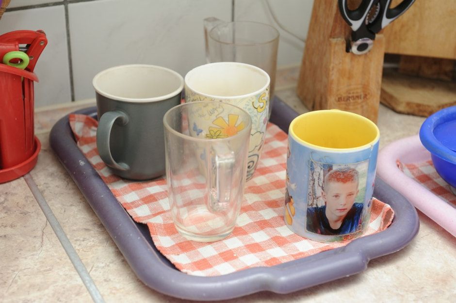 Профессиональная мама Инесса Лукашевич 2.jpg Профессиональная мама Инесса Лукашевич 2.jpg