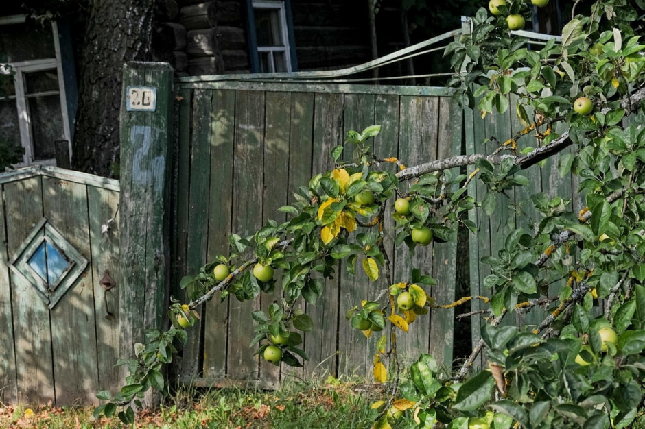 Деревня Глядовичи 25.jpg