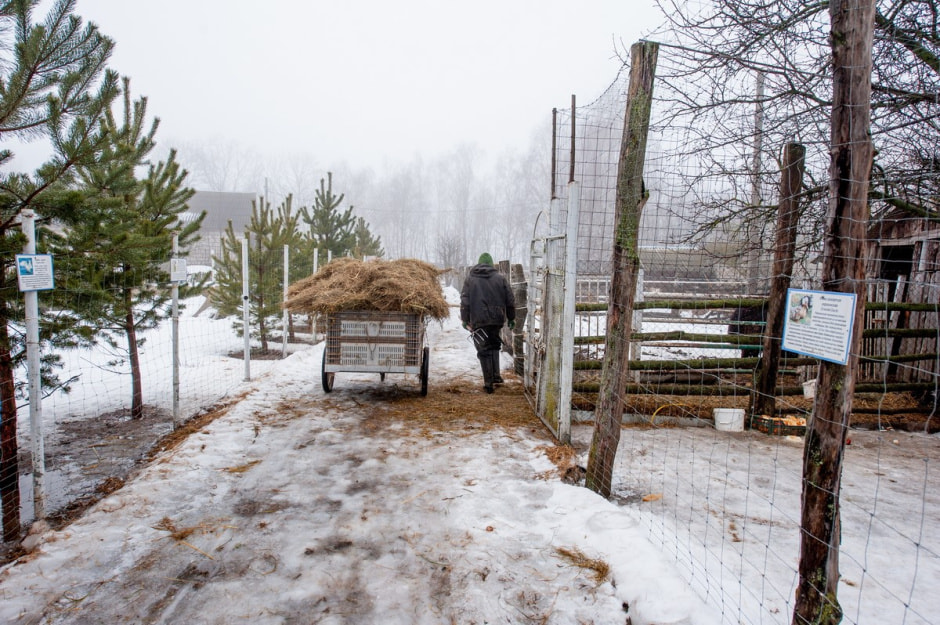 Юрий Карпилович и его зоопарк в Подгае 7.jpg