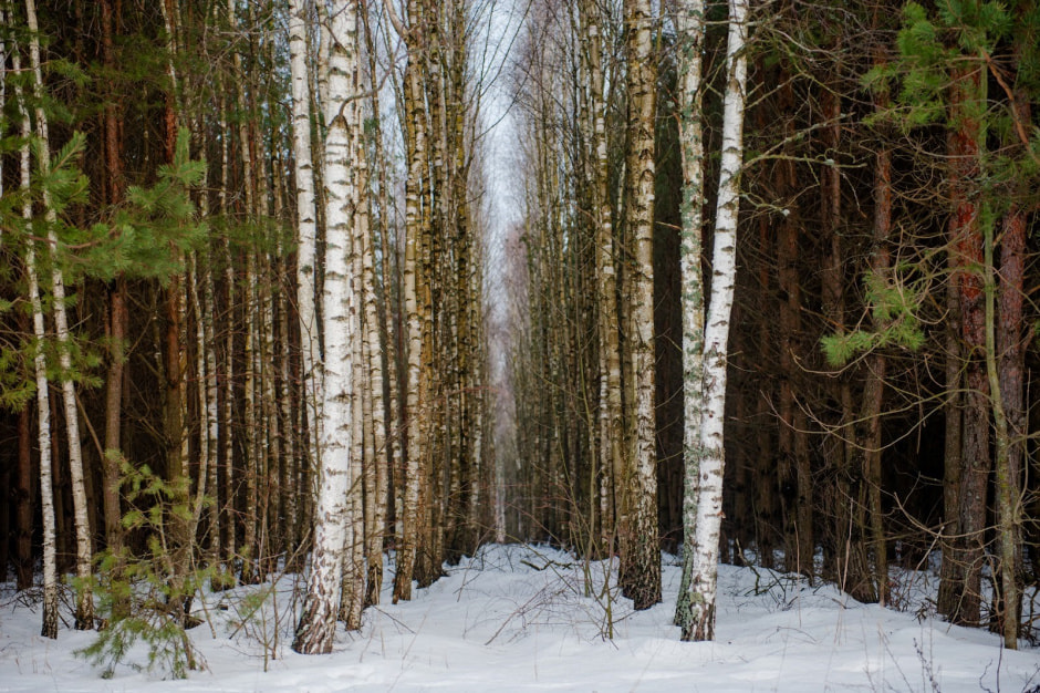 Хутор Замошье 23.jpg