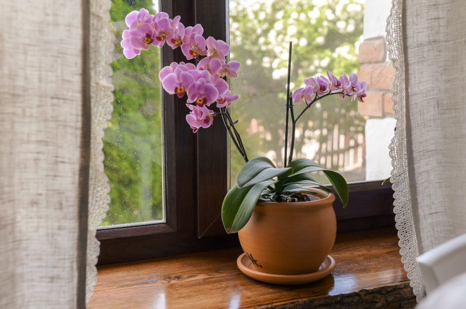 Гончар Сергей Нагаев 23.jpg Гончар Сергей Нагаев 23.jpg