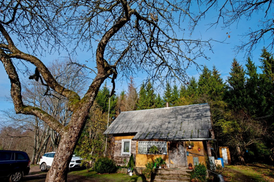 Хутор Окушково 6.jpg Хутор Окушково 6.jpg