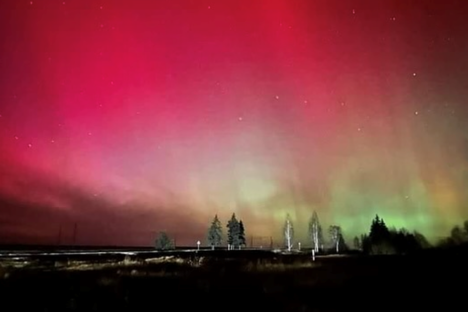 Блогер Баха 6.png