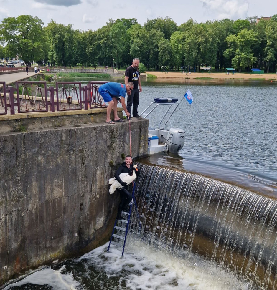 photo_2025-06-06_14-08-54 (3).jpg