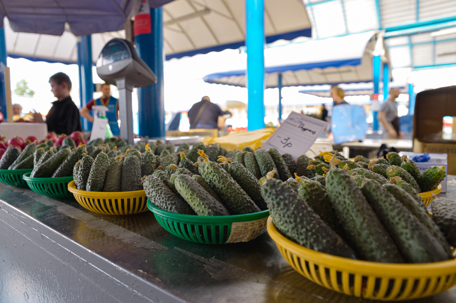 Две семьи выращивают огурцы и клубнику 13.png