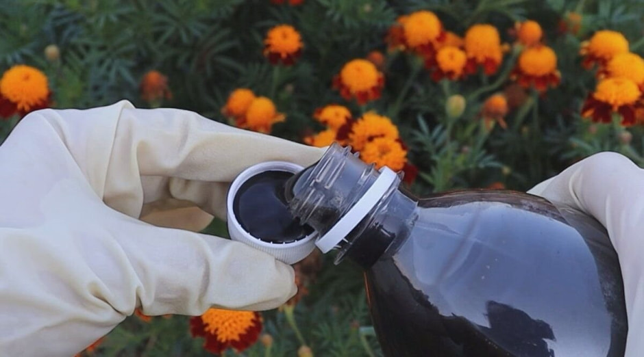 Удобрение овощей 4.jpg