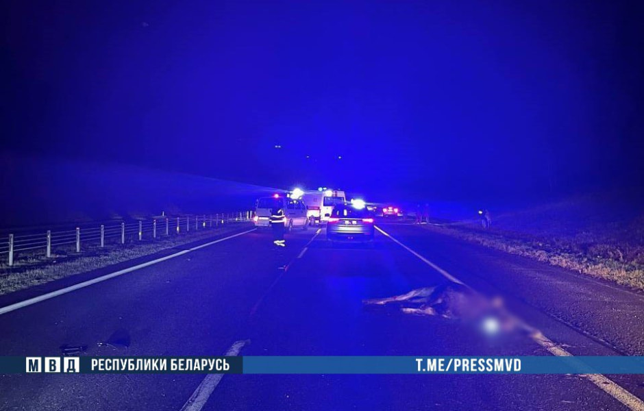 ДТП с лосем ..jpg