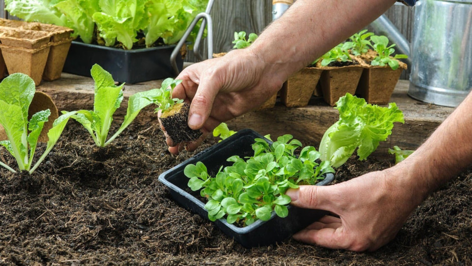 Лунный календарь садовода-огородника 4.jpg