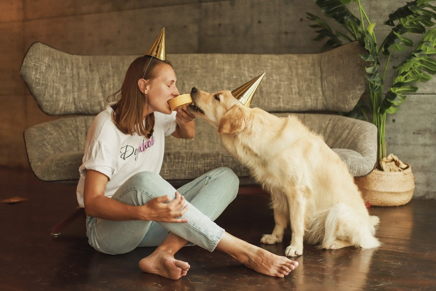 26 - 36.jpg 26 - 36.jpg