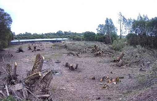 Белорус заплатил почти 13 тысяч рублей штрафа, после того как облагородил территорию возле своего дома