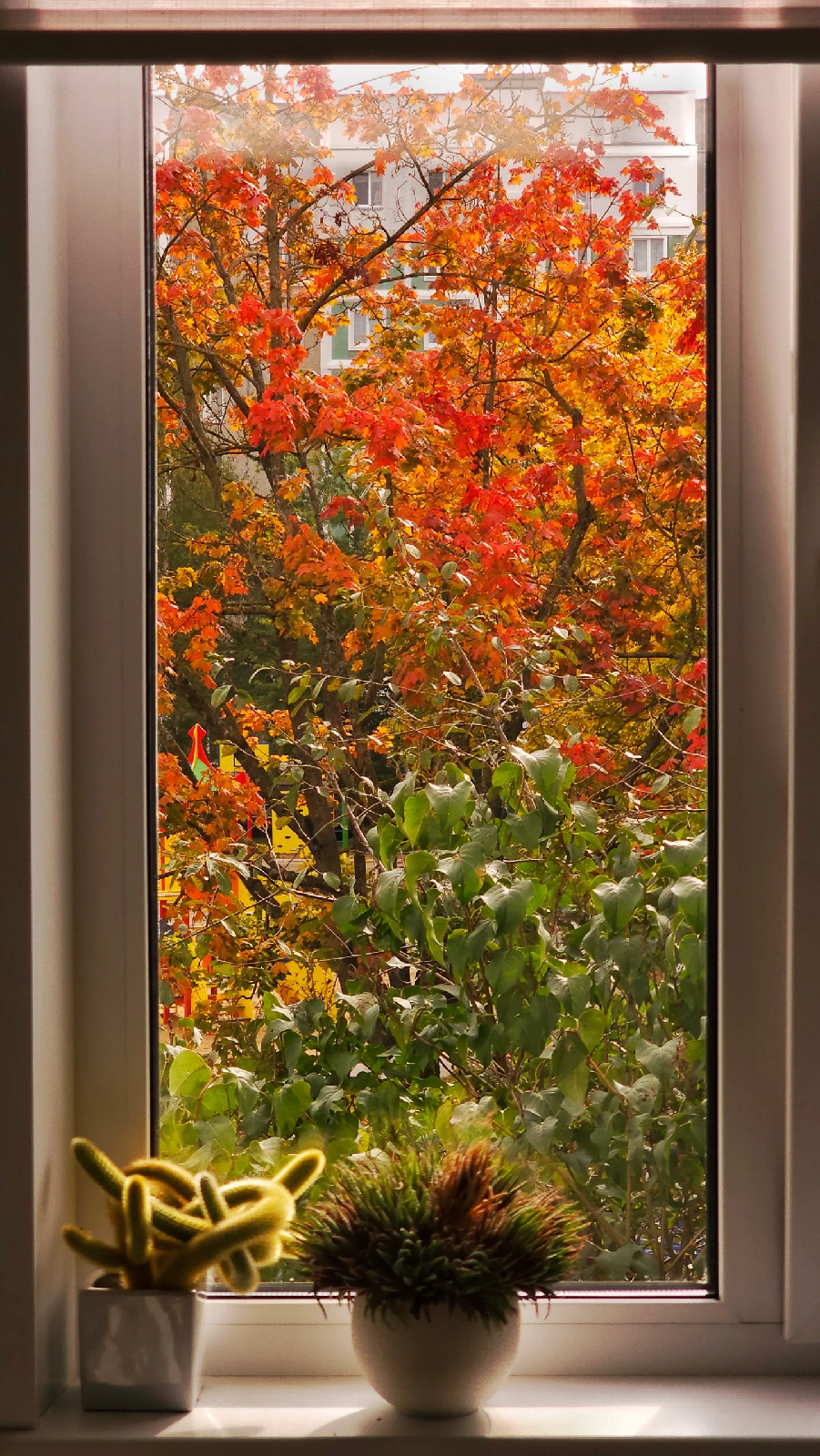 красивое окно, фото vkt.visuarch