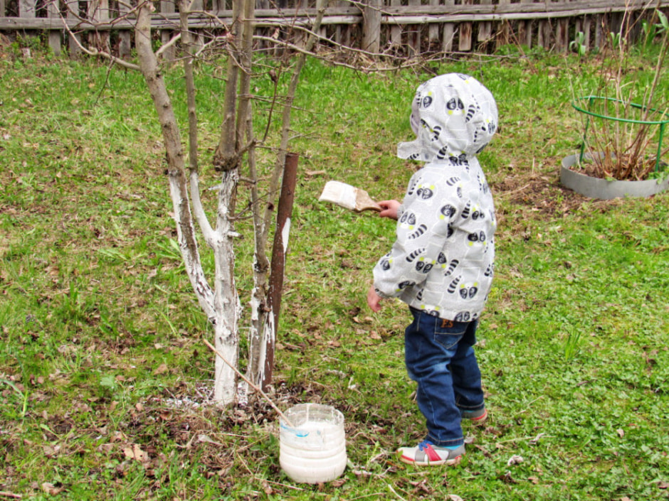 побелка3.jpg побелка3.jpg