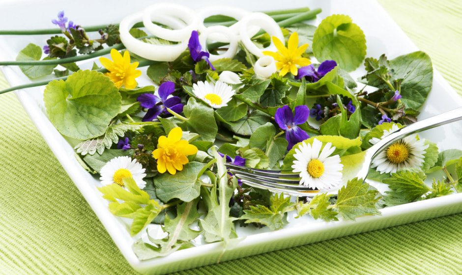 Дикоросы 9_Зелень.jpg Дикоросы 9_Зелень.jpg