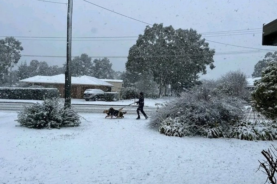 Снег в Австралии 