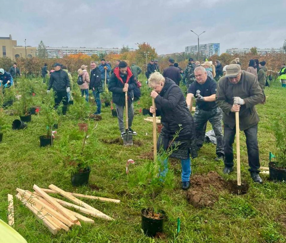 озеленение.jpg