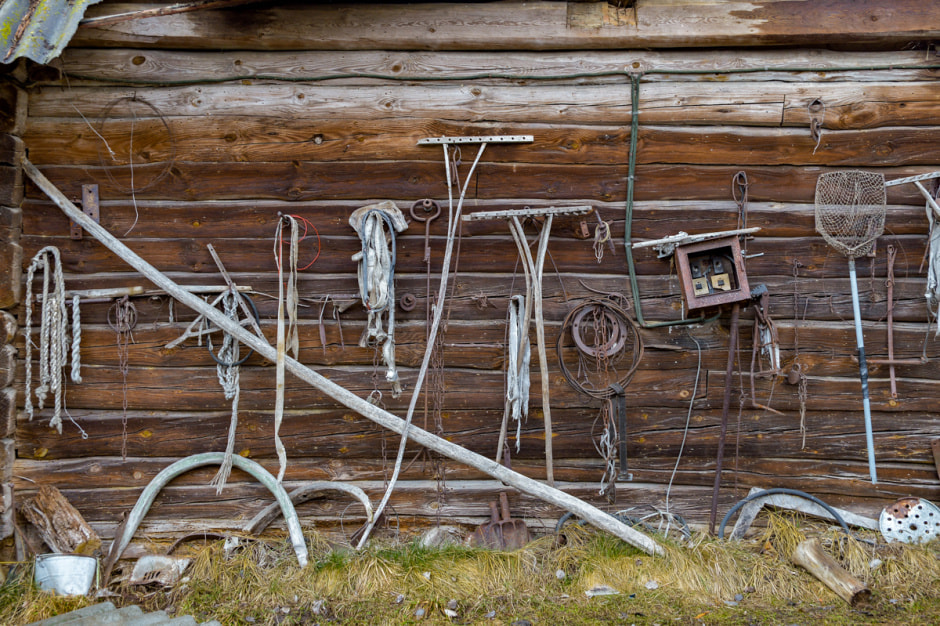 Деревня затопленная Припятью-46.JPG