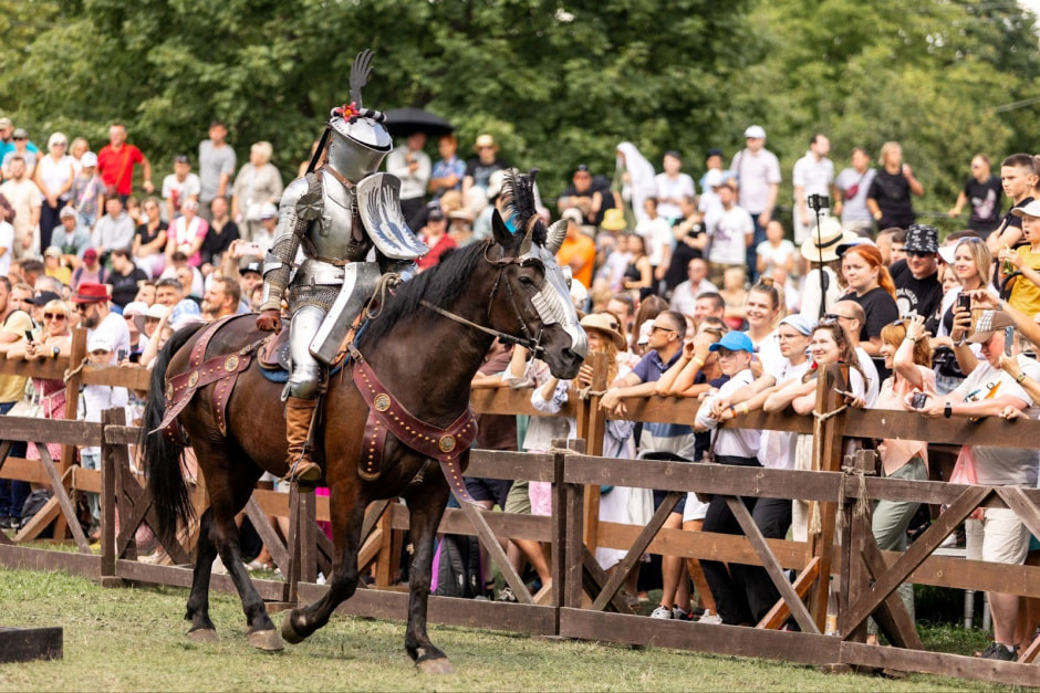 8-Конный рыцарь в шлеме жабья голова.jpg