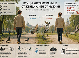 Кто страшнее для птицы – мужчина или женщина? Европейский эксперимент дал неожиданный ответ