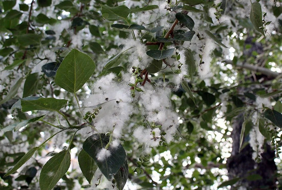 Морская вода и насморк 2.png