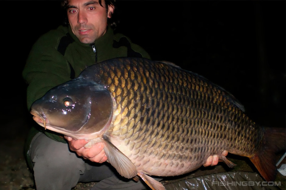 Карп в Локтышах.jpg