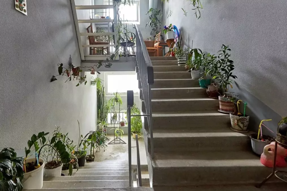 цветы в подъезде.png