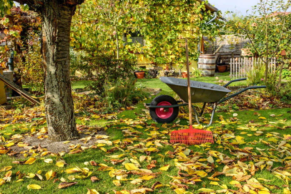 Как ухаживать за приствольными кругами 2.jpg