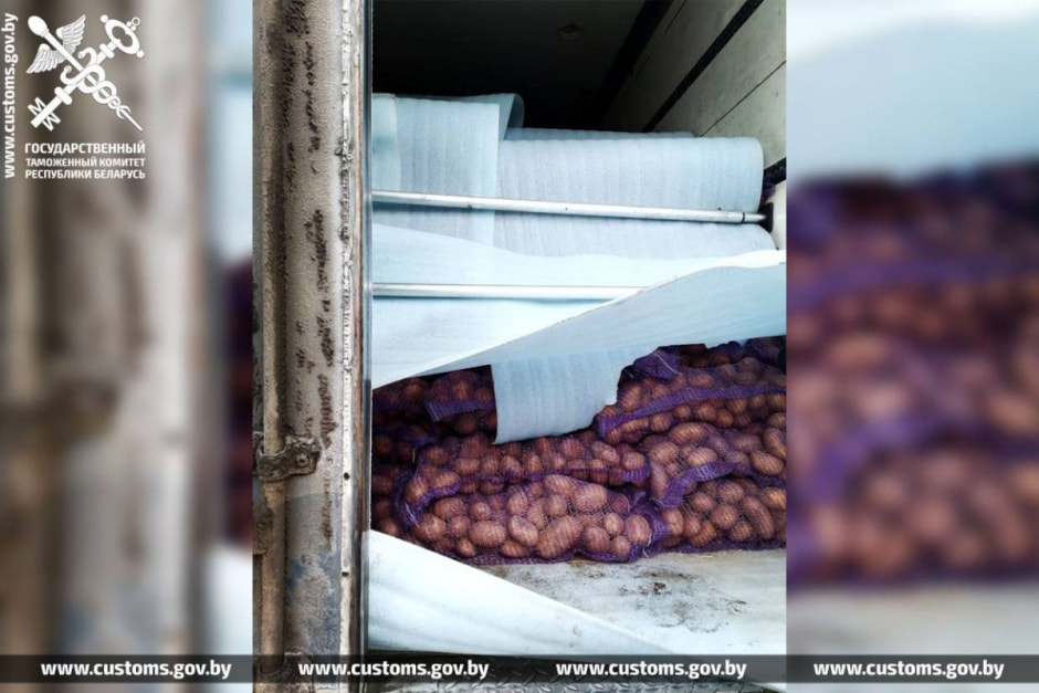 картошка (2).jpg