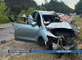 Двое взрослых и 11-летняя девочка погибли при столкновении Mazda и МАЗа под Светлогорском