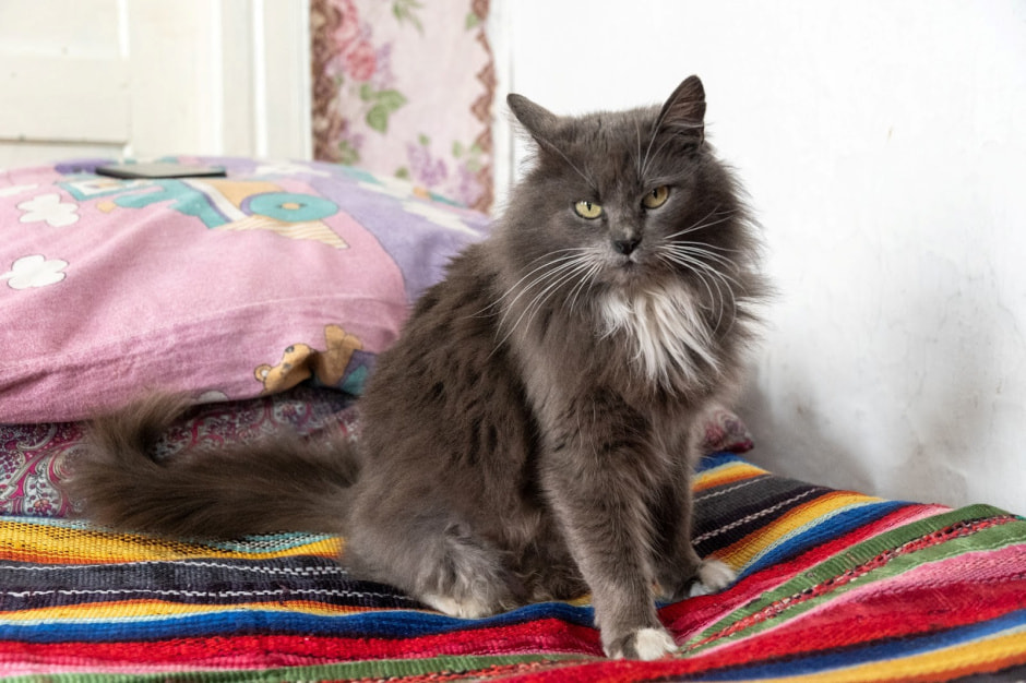 В 93 года освоила смартфон и смотрит сериалы 19.jpg