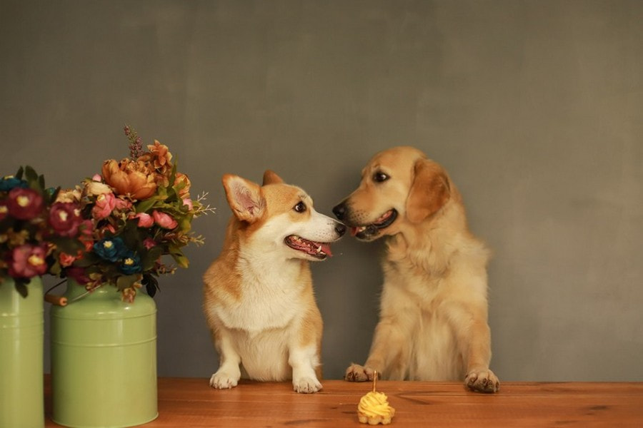 26 - 91.jpg 26 - 91.jpg