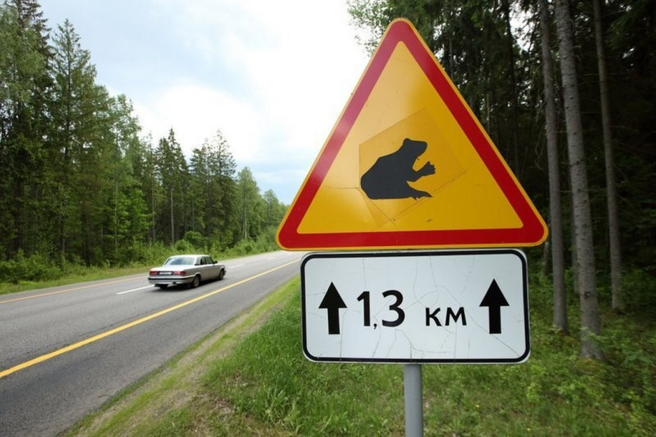 Экодуки и тоннели для животных 15.jpg