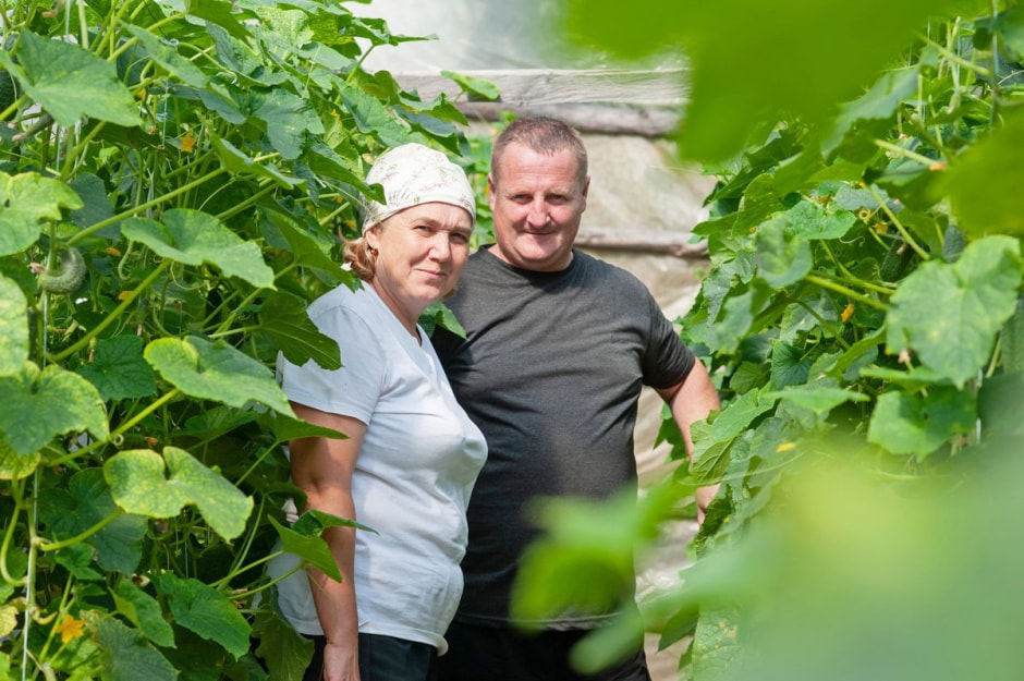 Семья Лой 20 лет выращивает огурцы и помидоры 27.jpg