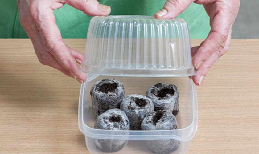 photo_2025-02-03_20-51-39 (6).jpg