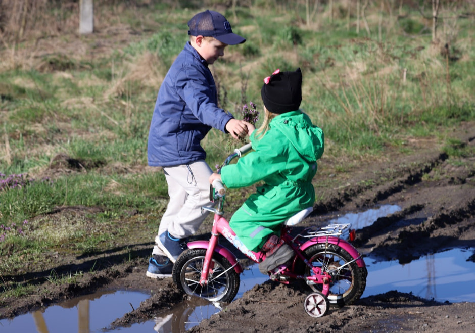 Аисты в деревне Малешев 20.jpg