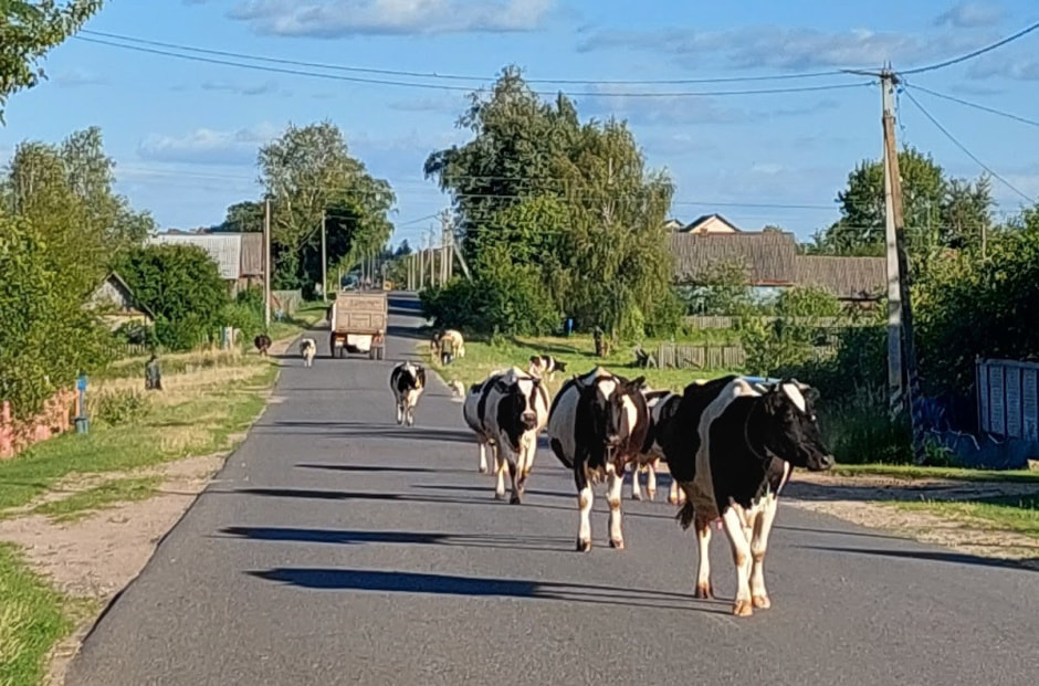 Лето в деревне 9.jpg