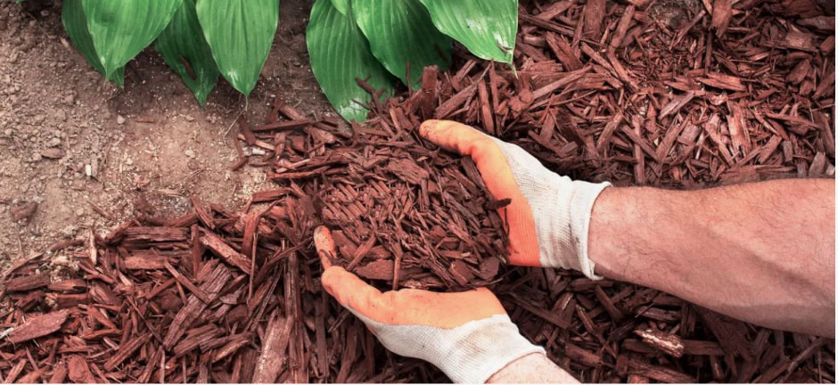 photo_2025-05-24_06-27-20 (3).jpg