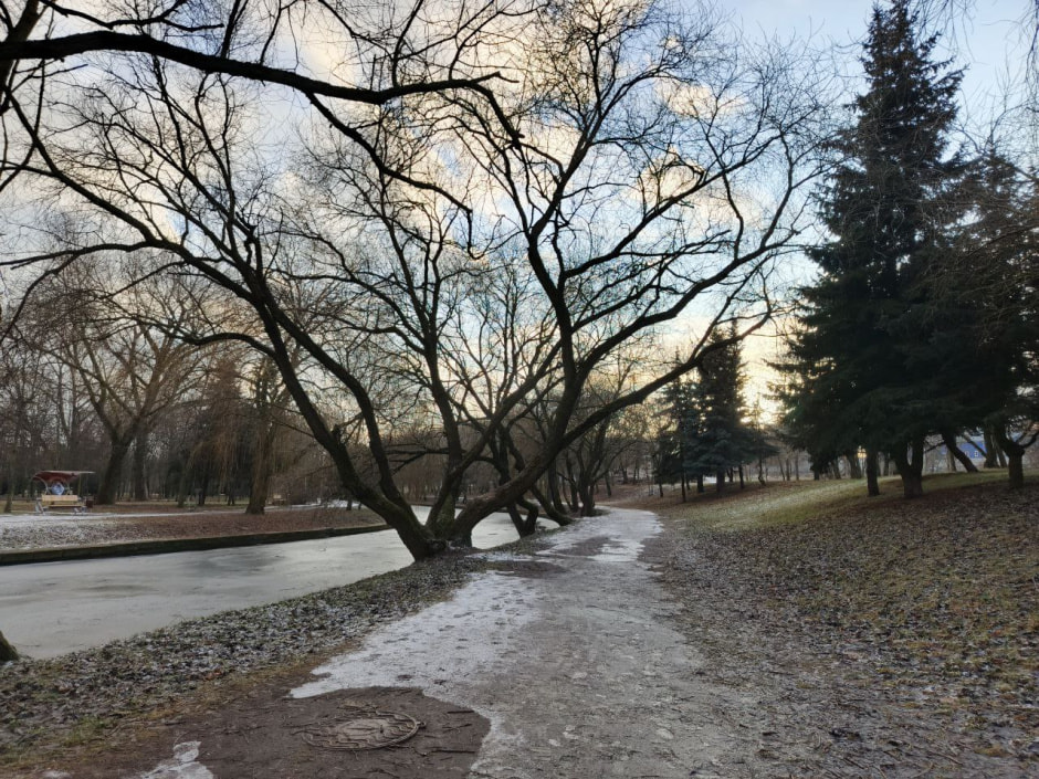 зима слякоть вечер.jpg