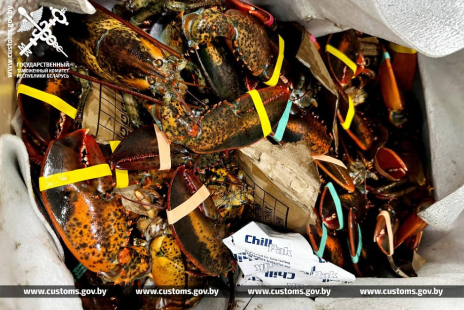 Лобстеры 1.jpg