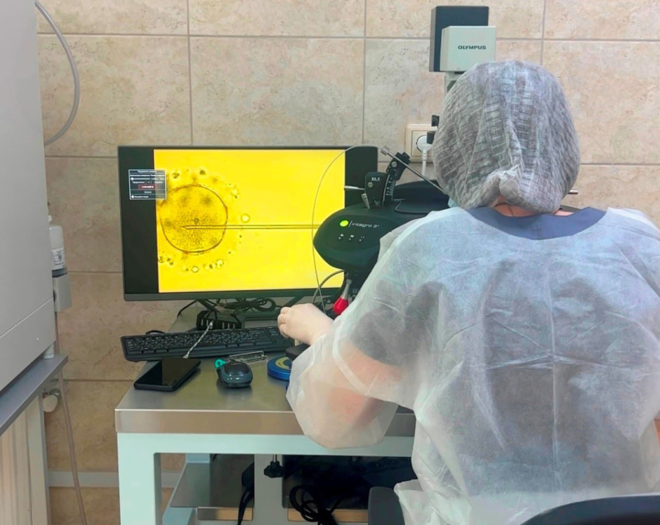 Заморозка яйцеклеток и спермы в Беларуси 5.jpg