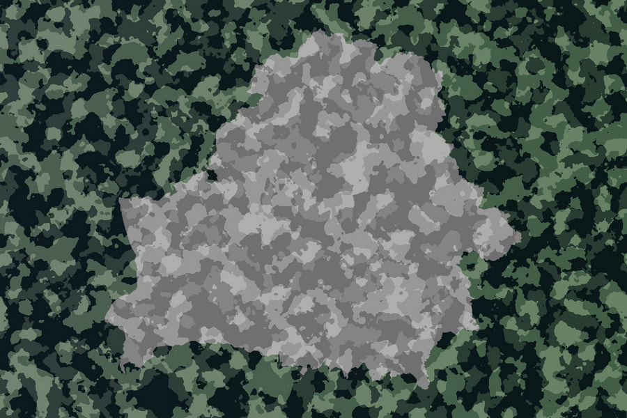 Camouflage5.jpg Camouflage5.jpg