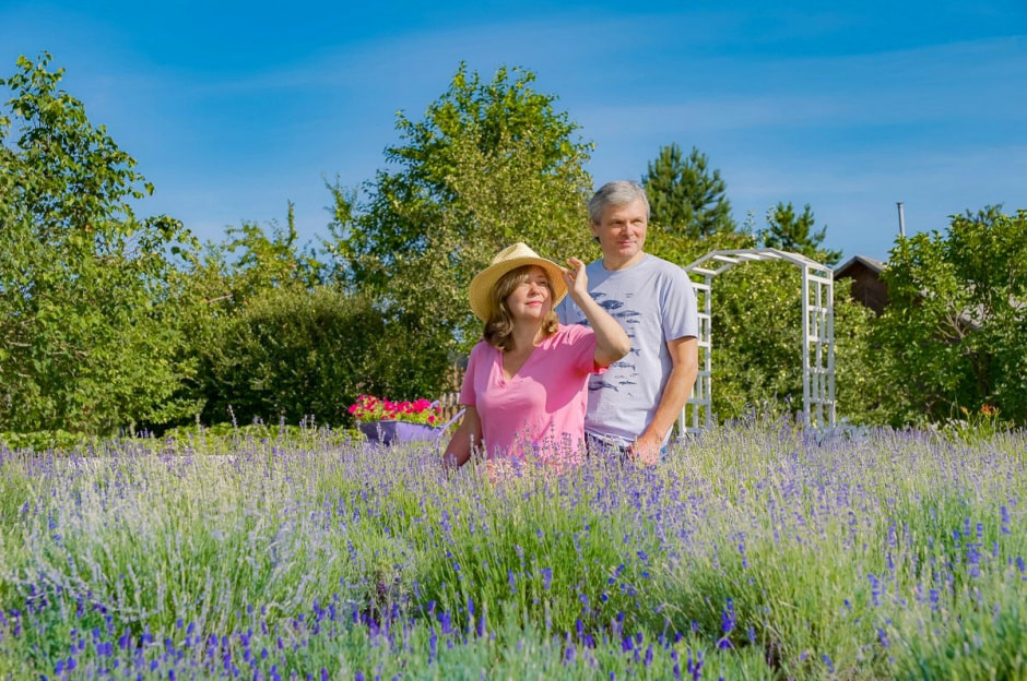 Лавандовый сад в Барово 17.jpg