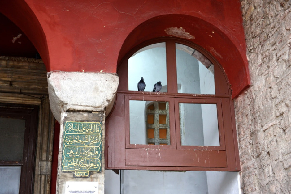 Гуляем по Стамбулу и знакомимся с котами 41.jpg