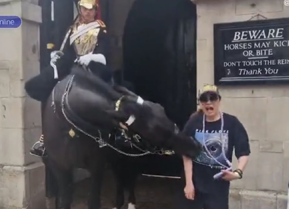 Туристку укусила лошадь Королевской гвардии2.jpg