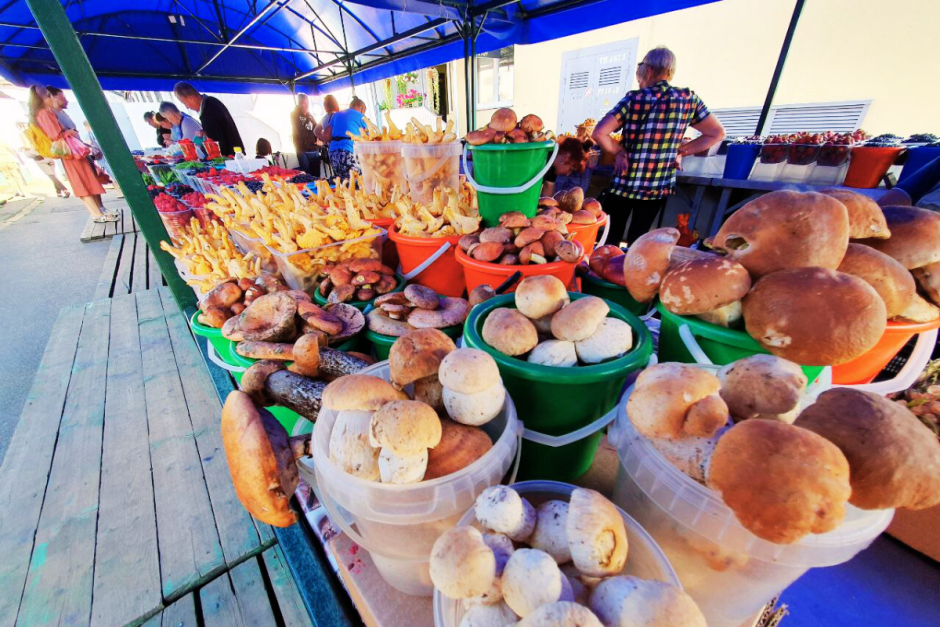 Грибы на Комаровке 2.png