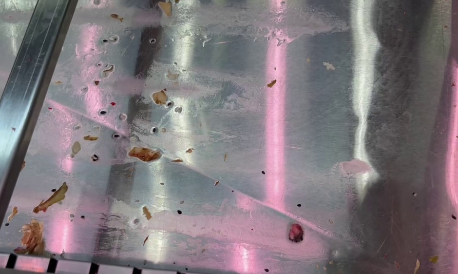 немытый противень в витрине торгового зала