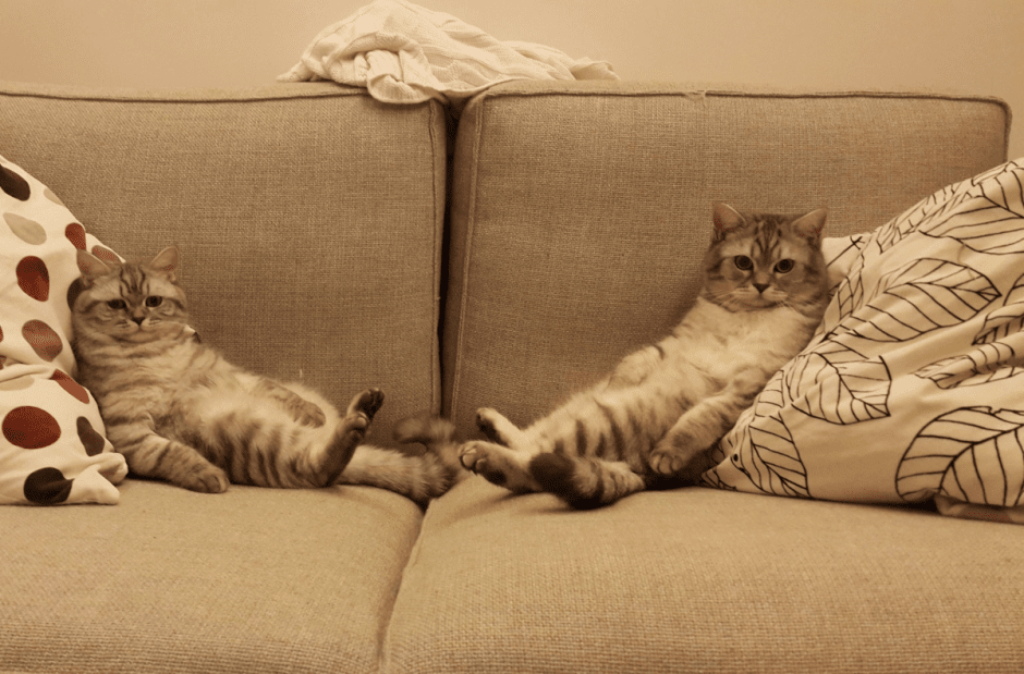 Что изменится в апреле 2023 1_Длинные выходные.png